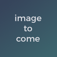 image to come